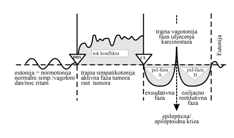 Schema-Zweifasigkeit