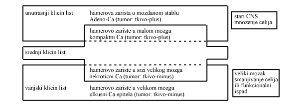 shema5